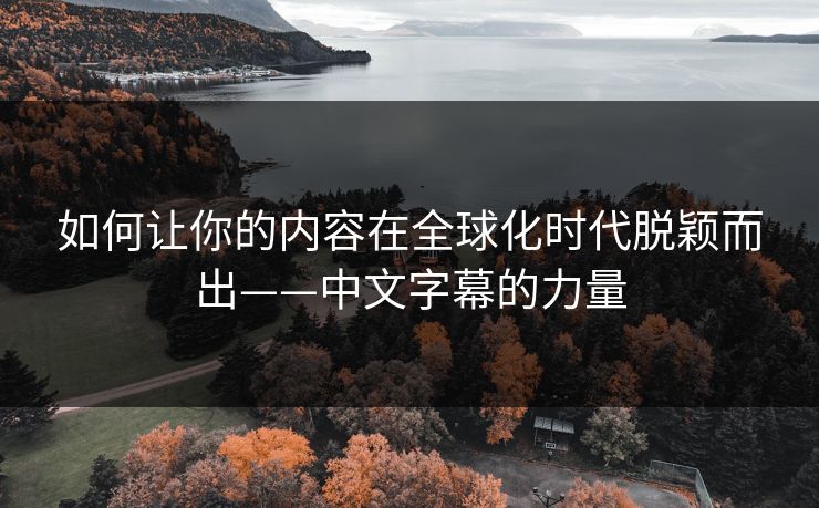 如何让你的内容在全球化时代脱颖而出——中文字幕的力量