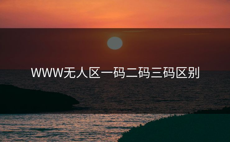 WWW无人区一码二码三码区别